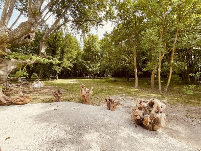 Foret de noyers